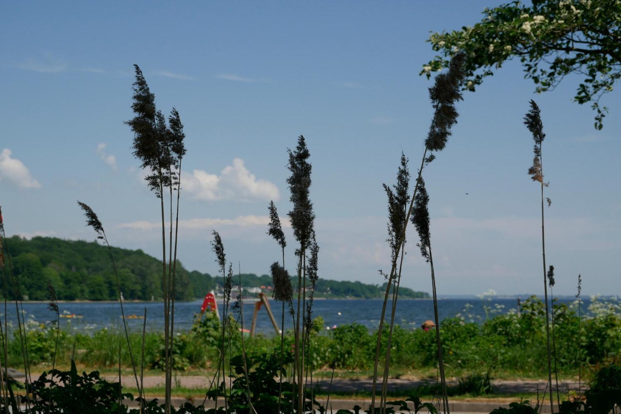 Ostsee, Wunderschoene Wohnung Mit Meerblick Harrislee Bagian luar foto